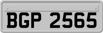 BGP2565