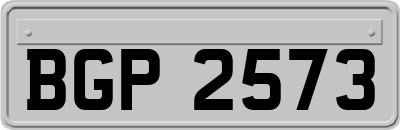 BGP2573