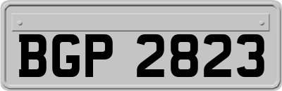 BGP2823