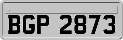 BGP2873