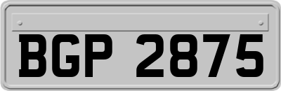 BGP2875