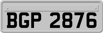 BGP2876