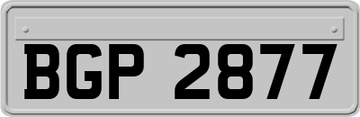 BGP2877