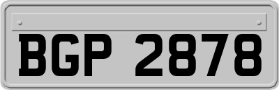 BGP2878