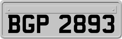 BGP2893