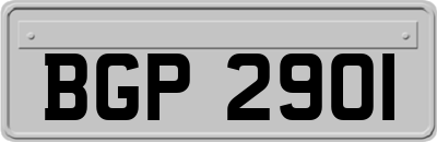 BGP2901