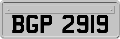 BGP2919