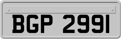 BGP2991