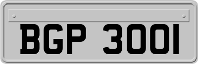 BGP3001