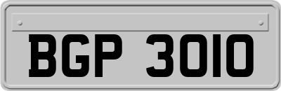 BGP3010