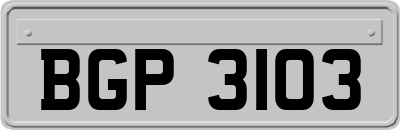 BGP3103