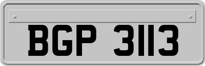 BGP3113