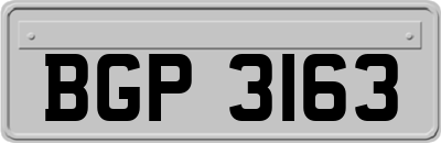 BGP3163