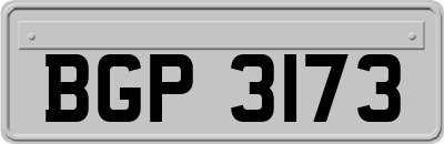 BGP3173