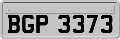 BGP3373