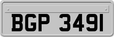 BGP3491