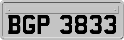BGP3833