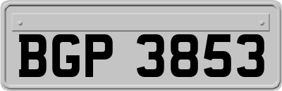 BGP3853