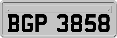 BGP3858