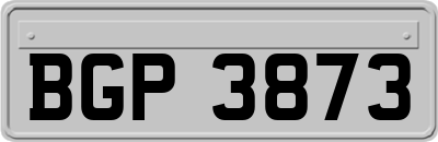 BGP3873