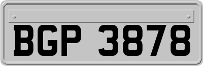 BGP3878