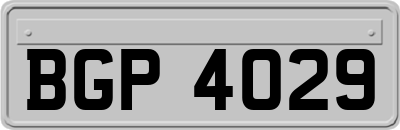 BGP4029
