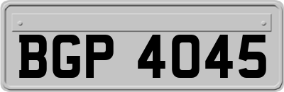 BGP4045