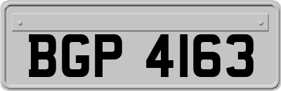 BGP4163