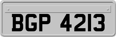 BGP4213