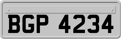 BGP4234