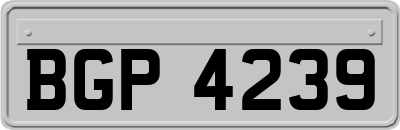 BGP4239