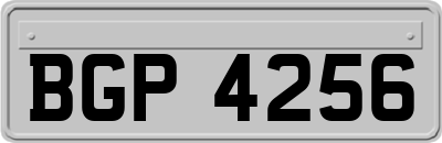 BGP4256