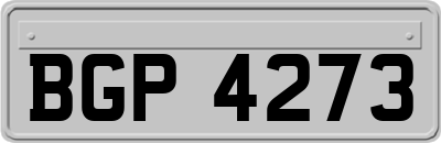 BGP4273