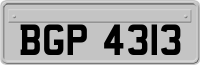 BGP4313