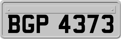 BGP4373