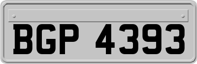 BGP4393