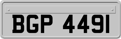 BGP4491
