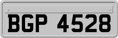 BGP4528