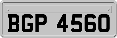 BGP4560