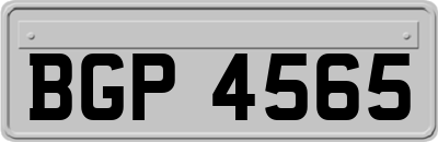 BGP4565