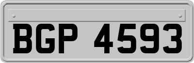 BGP4593