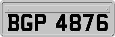 BGP4876