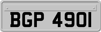 BGP4901