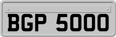 BGP5000