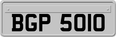 BGP5010