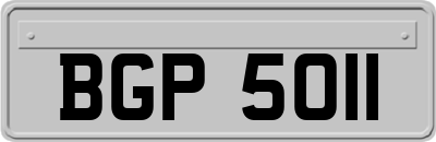 BGP5011