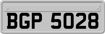 BGP5028