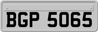 BGP5065