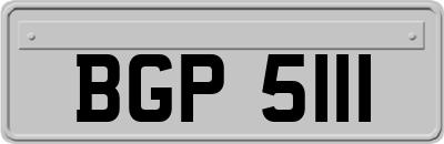 BGP5111