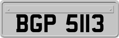 BGP5113